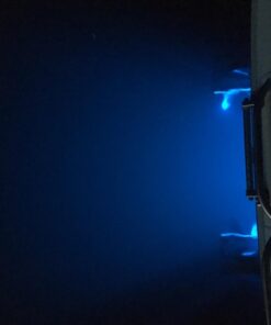 Tidal Wake IP68 Underwater 1/2in Standard Boat Drain Plug LED Light, Brilliant Underwater Lighting in Minutes! No Holes to Drill! Blue 39 61CdMdE0zcL