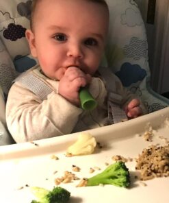 Olababy 100% Silicone Soft-Tip Training Spoon for Baby Led Weaning 2pack Training Spoon Set Lime / Kale 39 61ClMbxvcdL