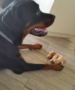 PetSafe Treat Pouch Sport- Durable, Convenient Dog Training Accessory, Standard, Black 50 61CnZeVRP4L