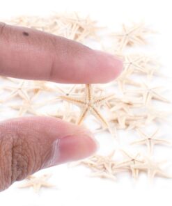 Tiny Miniature Fairy Garden Beach Critter Starfish Marine Life Collection for Arts & Crafts Projects, Decorations, Party Favors, Invitations (90 Pieces) 23 61CpatvbiL