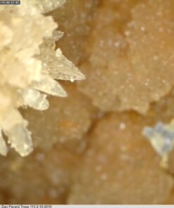 Dino Lite USB Hanheld Digital Microscope, 10x-220x Magnification 0.3MP/1.3MP/5.0MP True Resolution, Windows/Mac/iOS/Android Software Included, Supports PC, Tablet, Mobile Devices 1.3MP MT MS 24 61Ct1zpDQrL