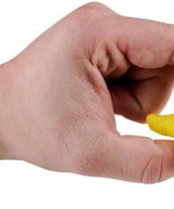 Hatching Dinosaur in Egg Case Pack 12 7 61D2TGEd4nL