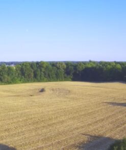 Holy Stone HS720R 3 Axis Gimbal GPS Drones with Camera for Adults 4K EIS; FPV RC Drone, Foldable Quadcopter with 10000 Feet Video Transmission Control Range, Brushless Motor, Follow Me, Auto Return 43 61D5YDMGzpL