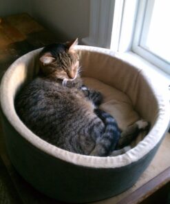 K&H Pet Products Thermo-Kitty Heated Cat Bed Small 16 Inches Sage/Tan 16.0"L x 16.0"W x 6.0"Th Retail Package 34 61D5peARlbL