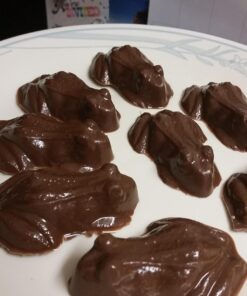 Cybrtrayd Life of the Party Frog Chocolate Candy Mold in Sealed Protective Poly Bag Imprinted with Copyrighted Cybrtrayd Molding Instruction 40 61DBN3n7GCL