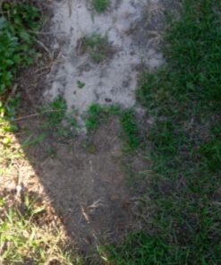 Intex 18ft X 9ft X 52in Ultra Frame Rectangular Pool Set with Sand Filter Pump, Ladder, Ground Cloth & Pool Cover 27 61DF6EoQi L