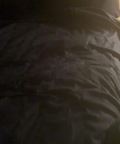 Sunbeam Royal Ultra Fleece Heated Electric Blanket Twin Size, 84" x 62", 12 Heat Settings, 12-Hour Selectable Auto Shut-Off, Fast Heating, Machine Washable, Warm and Cozy, Admiral Blue Royal Ultra Blanket 32 61DQLXLE57L