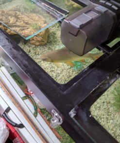 EHEIM Everyday Fish Feeder Programmable Automatic Food Dispenser 34 61DU3VXCVL