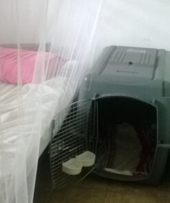 Petmate Sky Kennel, 36 Inch, IATA Compliant Dog Crate for Pets 50-70lbs, Made in USA Kennel Only 63 61DXl0yFIL