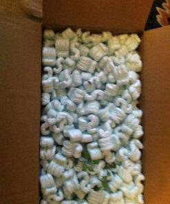 Brussel's Live Chinese Elm Outdoor Bonsai Tree - 5 Years Old; 6" to 8" Tall with Decorative Container Small CERAMIC POT 47 61DfPLDKTaL