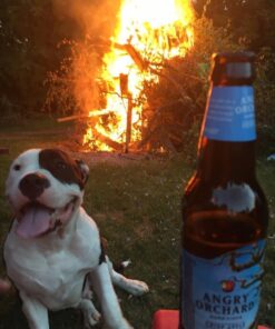 Leashboss Short Dog Leash for Dog Training | Padded Traffic Handle Short Leash for Dog Training, Total Comfort when Dog Walking | Traffic Leash for Dogs Large, Medium, Small | Short Nylon Dog Lead 12 Inch Black 41 61Dj8JFdrfL