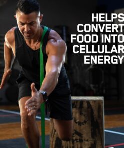 OPTIMUM NUTRITION Muscle Recovery and Endurance Supplement for Men and Women, Zinc and Magnesium Supplement, 180 Count 180 Count (Pack of 1) 27 61DkzA0FFGL