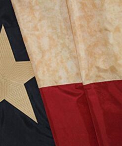 Embroidered Texas Vintage Flag - 3x5ft Oxford Polyester - Texas Founding Fathers Flags 13 61DqSP rqiL