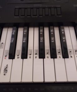 Piano and Keyboard Music Note Full Set Stickers for White and Black Keys; Transparent and Removable; Made in USA 39 61DsWl2y 1L