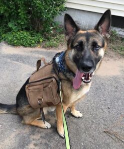 OneTigris Dog Pack Hound Travel Camping Hiking Backpack Saddle Bag Rucksack for Medium & Large Dog (Brown, Large) 11.4"L x 8.7"W x 2.4"H Brown 42 61Dy9Xxpe8L