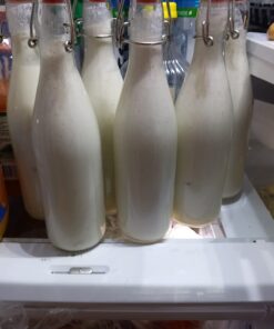 Estilo Swing Top Clear Glass Bottles,16oz Set of 6 Easy Cap Clear Bottles with Stoppers, Flip Top Glass Bottles to Store Home Brews, Oils, Vinaigrettes, Wines, Beer, Teas, Limoncello 16 oz 23 61E Fu5cy4L