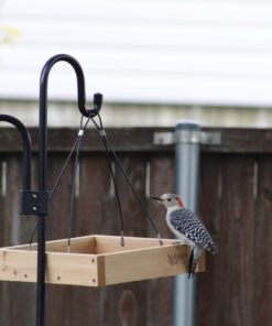 Nature's Way Bird Products CWF3 Cedar Platform Tray Bird Feeder 12" x 12" 12" x 12" 29 61E0gadbekL