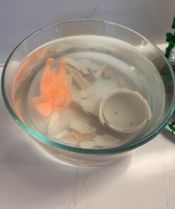 Surprise Growing Dinosaur Hatch Egg Kids Novelty Toy- Pack of 2 2 Pack 17 61E2GDca62L