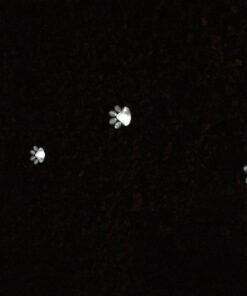 IdeaWorks JB7356 Solar Paw Print Outdoor Lights, Black 36 61E4nLJOSCL