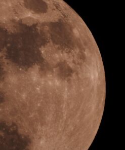 Nikon COOLPIX P900 Digital Camera (Black) 113 61E6YOCStQL