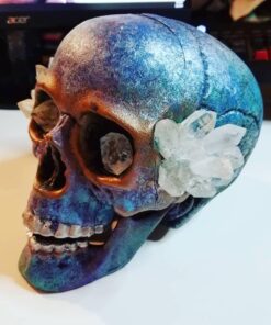 Prextex 6.5" Plastic Skull Head Halloween Decor | Realistic Life-Size Skeleton Skull Halloween & Day of The Dead Decoration | Scary Human Skull Replicas Skeleton Decor | Head Skulls Decor 30 61E6qvJgJ3L 1