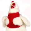 Valhoma Chicken Harness Hen Size Red 30 61E9DmLSDOL