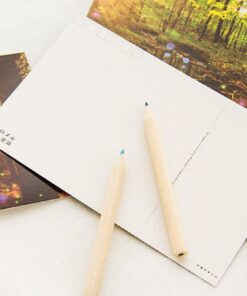 Glow In The Dark Postcards Set of 30 Woodland Animals Forest Deer Postcard Post Card Greeting Cards (Variety Pack) 29 61EAuBQPAmL