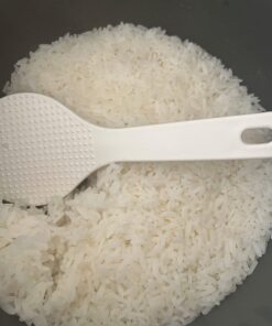 Nishiki Premium Rice, Medium Grain,15 Pound (Pack of 1) 15 Pound (Pack of 1) 49 61ENKeASflL