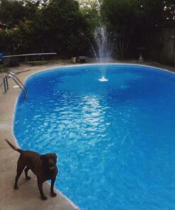 Hayward S244T ProSeries Sand Filter, 24-Inch, Top-Mount 1.5 Inch Valve 16 61EU0YMhdzL