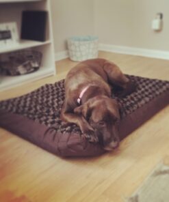 Furhaven Orthopedic Dog Bed for Large/Medium Dogs w/ Removable Washable Cover, For Dogs Up to 55 lbs - Ultra Plush Faux Fur & Suede Mattress - Chocolate, Large Ultra Plush Curly Faux Fur (Chocolate) 36.0"L x 27.0"W x 3.0"Th Orthopedic Foam 33 61EUC8CpJL 1