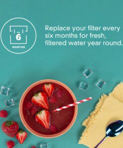 everydrop by Whirlpool Ice and Water Refrigerator Filter 2, EDR2RXD1, Single-Pack 21 61EYWBPgFL