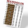 Mandolin Classic Style Easy Chord & Fretboard Note Chart Instructional Poster for Beginners Chords & Notes A New Song Music 11"x17" Classic - 11"x17" 24 61EiVuwHI4L