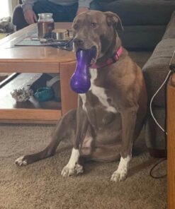 GREENIES PILL POCKETS for Dogs Tablet Size Natural Soft Dog Treats, Chicken Flavor, 3.2 oz. Pack (30 Treats) 3.2 Ounce (Pack of 1) 43 61El9h9cBML