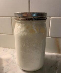 Live Milk Kefir Grains - Live Probiotic Culture 39 61EnBtCeidL