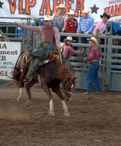 AF-S DX Nkr 18-200mm F/3.5-5.6G ED VR II Lens Only 43 61EoQJIxZFL