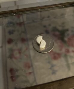 The Equadose Pill Splitter. The Best Pill Cutter Ever! Doubles as a Pill Box. Great for Pets Too! 30 61EpXEjbwmL