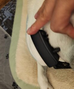 Dog Shock Collar with Flashing Light for Night Walks,Dog Training Collar with Adjustable Pitch Beep,Vibration,Shock and Keypad Lock,Dog Training Collar with Remote 4000FT,Shock Collar Dog 32 61EpuC6dfML