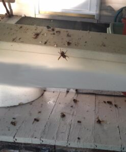 Flowtron Bug Zapper, 1/2 Acre of Outdoor Coverage with Powerful 15W Bulb & 5600V Instant Killing Grid, Electric Insect, Fly & Mosquito Zapper, Made in The USA 31 61EwAuJay1L