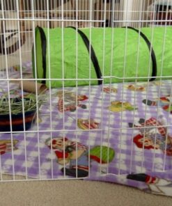 Petmate Jackson Galaxy Cat Crawl Solid Tunnel, Green/Orange 45 61ExmvgP2gL