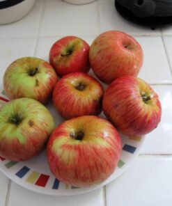 Johnny Apple Peeler (VKP1011), Clamp Base, Stainless Steel Blades, Red 29 61F0FyV9uwL