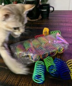SPOT Ethical Products Ethical Wide Colorful Springs Cat Toy, Medium Breeds 34 61F8VSnjlnL