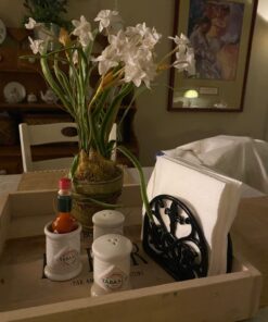 Fleur De Lis Design Cast Iron Napkin Holder, By Home Basics (Black) / Napkin Holders For Kitchen/Table Napkin Holder With Non-Skid Feet/Doubles As Storage For Small Papers Black 28 61FAMsrkcL