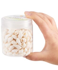 PandaHall Elite About 130-150 Pcs Tiny Sea Shell Ocean Beach Spiral Seashells Craft Charms Length 19-21mm Candle Making, Home Decoration, Beach Theme Party Wedding Decor, Fish Tank Vase Fille 130pcs 14 61FE4xjryiL