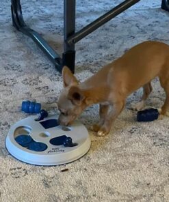 TRIXIE Flip Board Strategy Game, Intermediate Dog Puzzle Toy, Level 2 Activity, Treat Puzzle, Interactive Play, Enrichment Level 2 (Intermediate) 31 61FF2KmXHyL