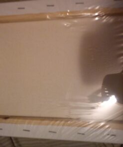 U.S. Art Supply 8 x 10 inch Stretched Canvas Super Value 10-Pack - Triple Primed Professional Artist Quality White Blank 5/8" Profile, 100% Cotton, Heavy-Weight Gesso - Acrylic Pouring, Oil Painting 8" x 10" 47 61FFSCcspkL