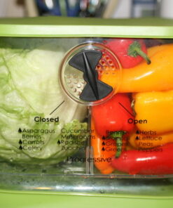 Prep Solutions by Progressive Lettuce Keeper Produce Storage Container, 4.7 Quarts 34 61FJZCHG4wL