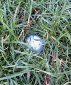 Galvanized Survey Markers - 12 Pack - Low Profile Survey Stakes (Plain) 11 61FJcA85IyL