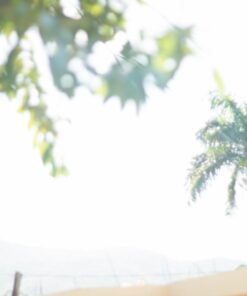 K&F Concept 52mm Variable ND2-ND400 ND Lens Filter (1-9 Stops) for Camera Lens, Adjustable Neutral Density Filter with Microfiber Cleaning Cloth (B-Series) 52 millimeter 41 61FMtZOAtL