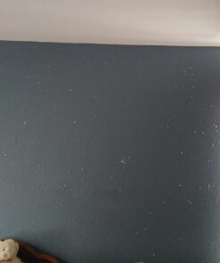 Realistic 3D Domed Glow in The Dark Stars,606 Dots for Starry Sky, Perfect for Kids Bedding Room Gift(606 Stars) (1*Green) 1*Green 40 61FRJKTLlRL