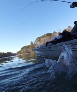 GoPro HERO Session Waterproof Digital Action Camera Camera Only 43 61FWOoCG3XL